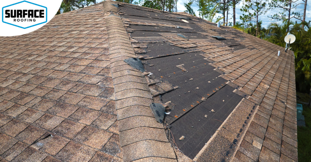 Roof Shingles Damage