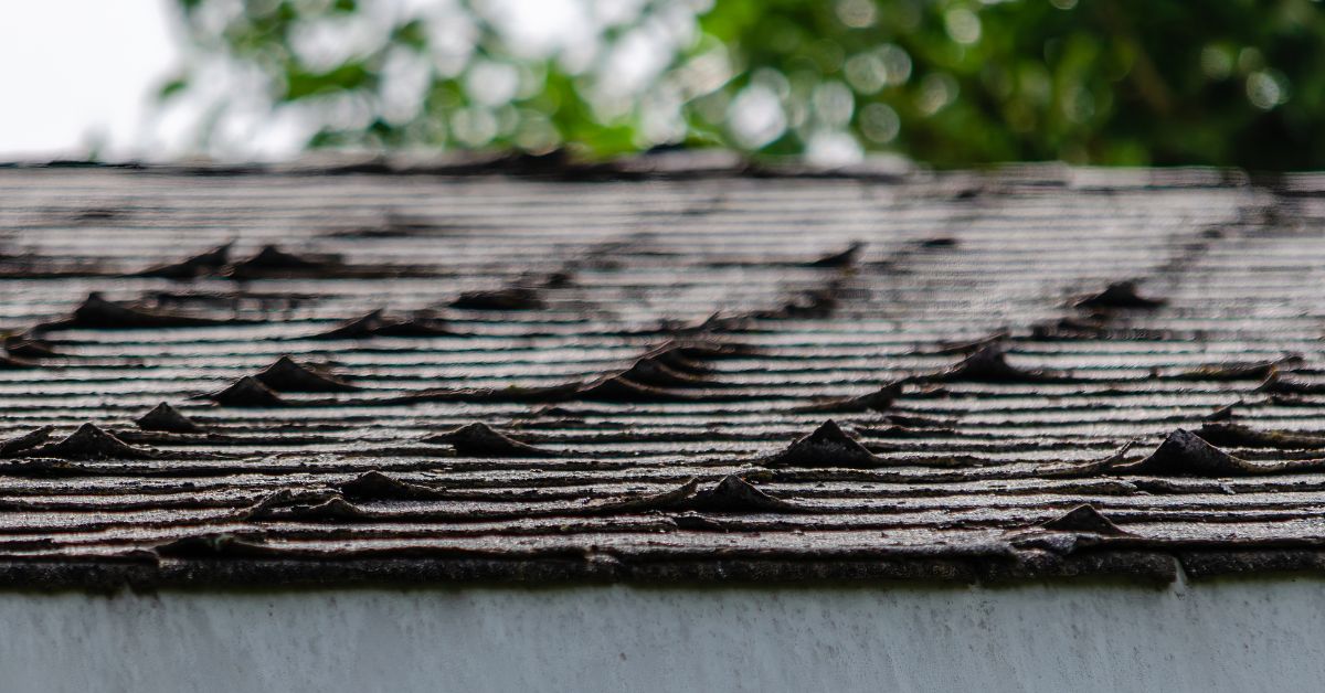 Curling or Buckling Shingles