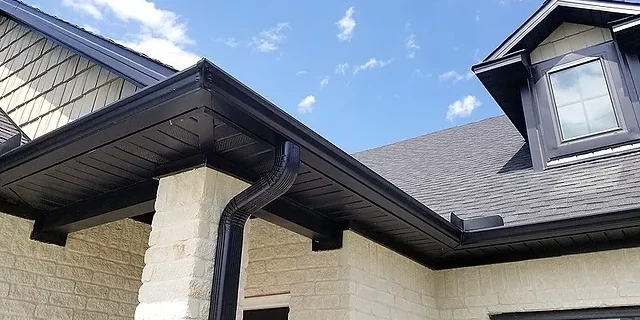 Black Gutters