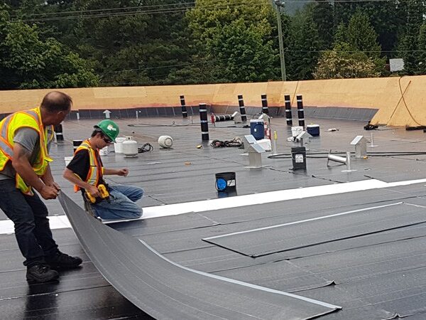 Flat Roof Maintenance