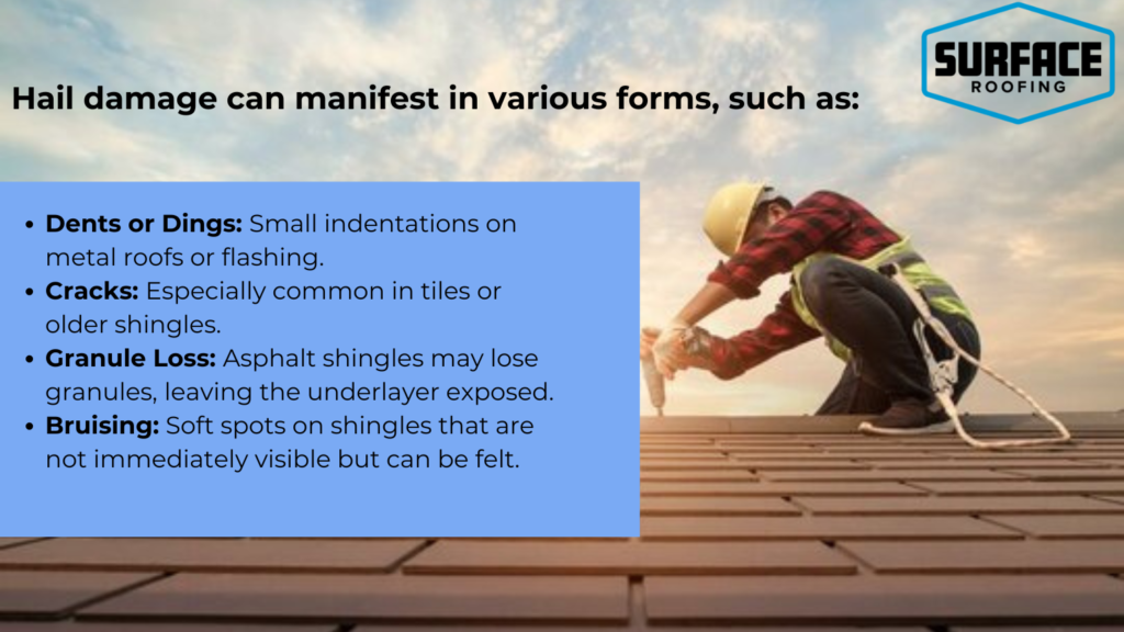 Roof Damage Solution 