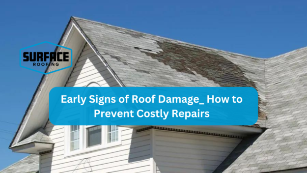 Early Signs of Roof Damage