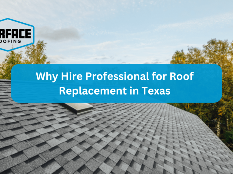Professional for Roof Replacement