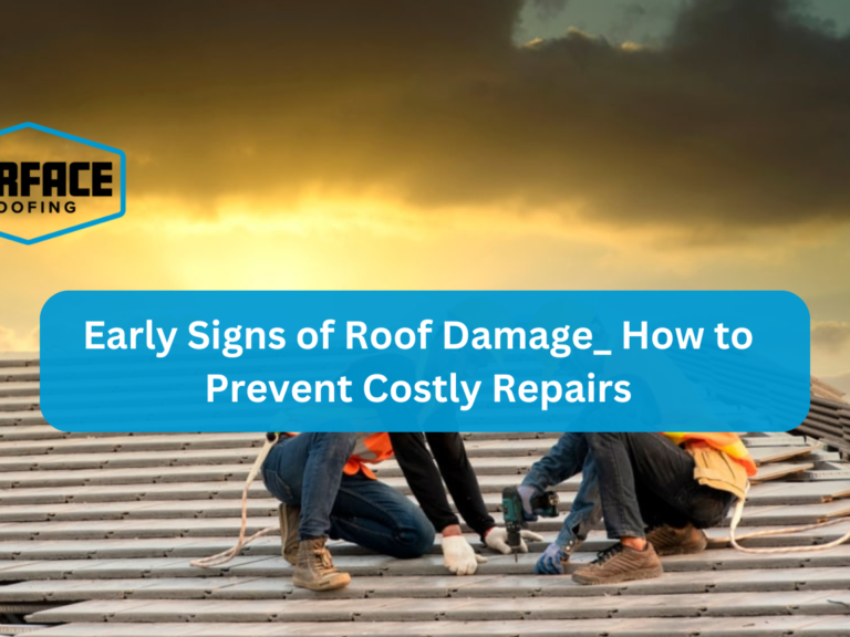 Safe Roof Inspections
