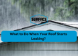 What to Do When Your Roof Starts Leaking